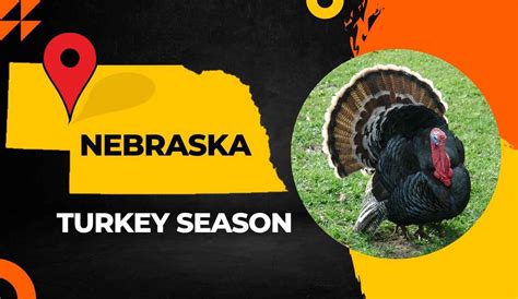 LINCOLN Spring turkey hunting season will be here soon, and Nebraskans have plenty of reasons to get out in the field to pursue a bird. . Nebraska turkey tags 2023